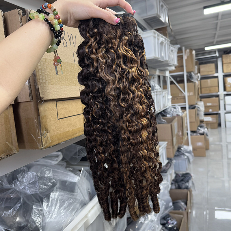 Highlight Color #4/27 Raw Burmese Curly Bundles 100% Human Hair Bundle Sterly Hair