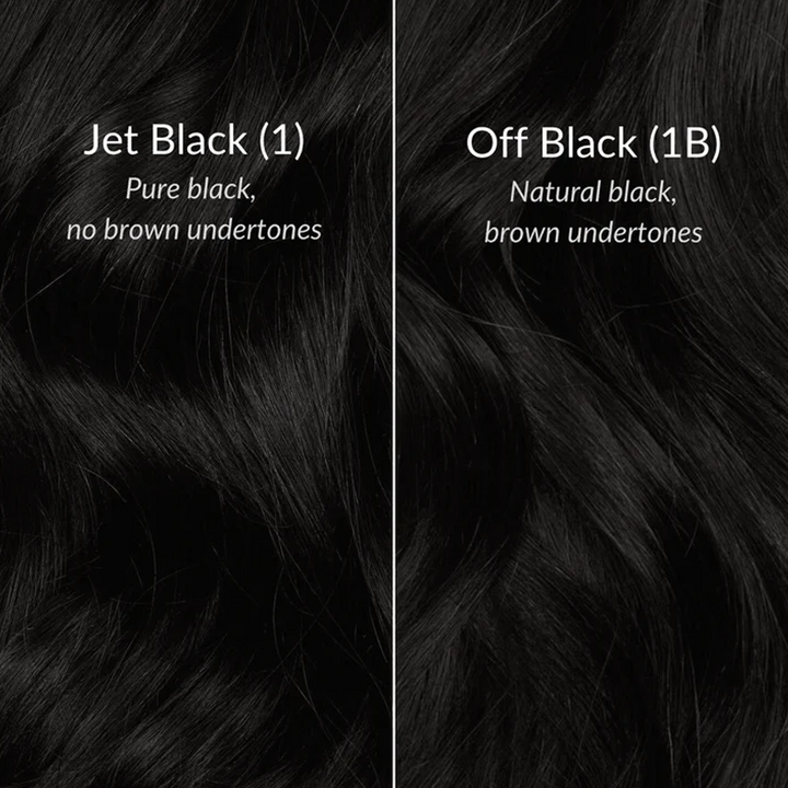 #1 Jet Black Deep Wave Wig Sterly 13×6 Full Lace Frontal Human Hair Wigs - sterlyhair