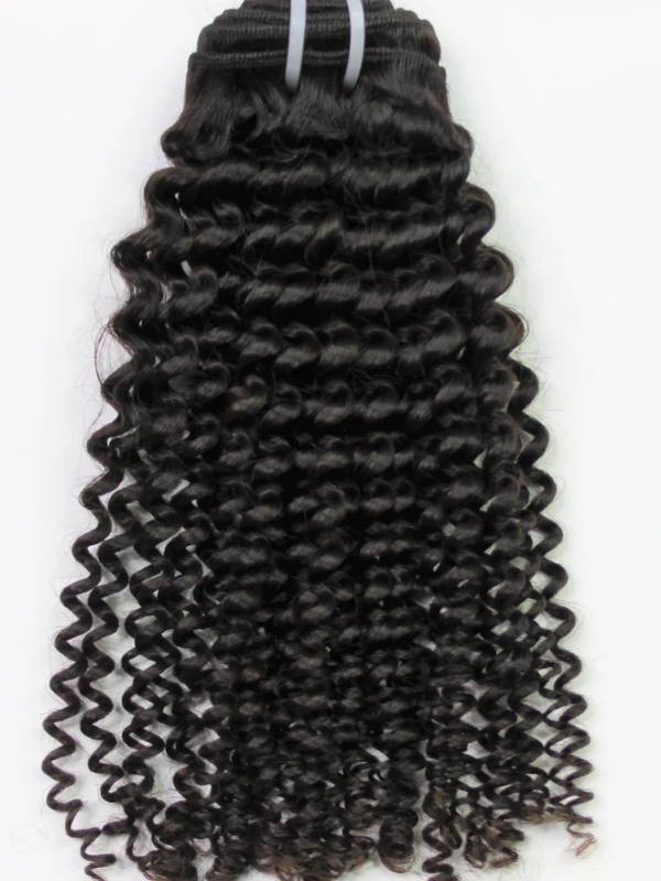 Raw Curly Wave Bundles High Quality 100% Human Hair Sterly Hair - sterlyhair