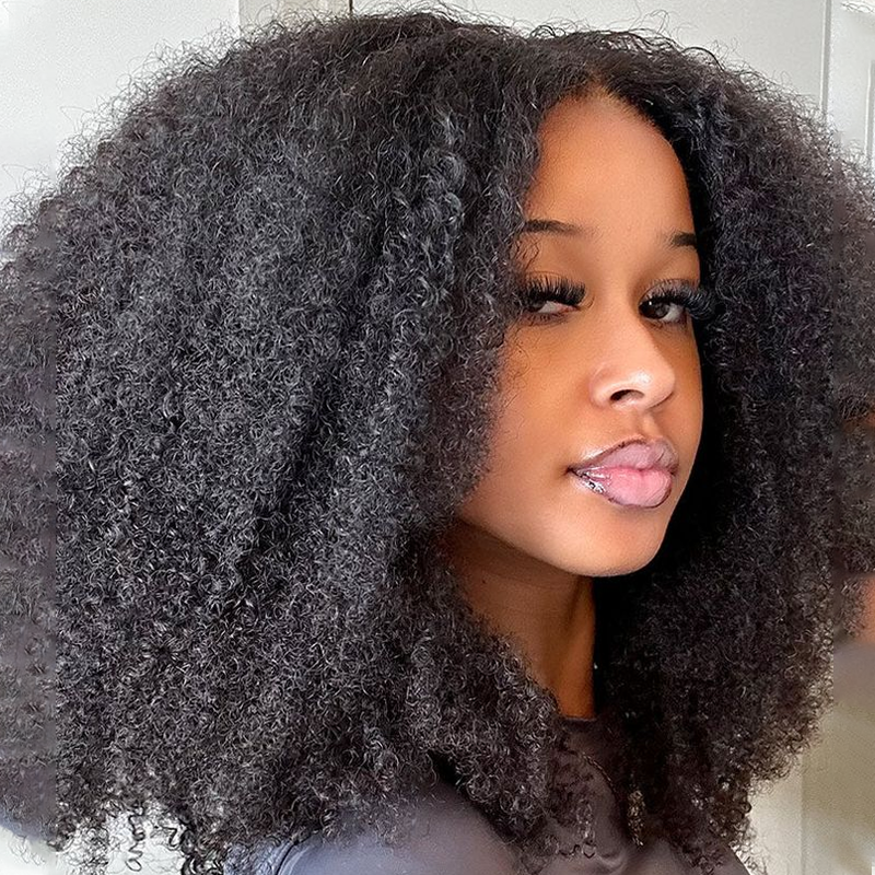 Afro Kinky Curly HD Lace 13 ×6 Full Frontal Wig Undetactable HD Lace Human Hair Wig - sterlyhair